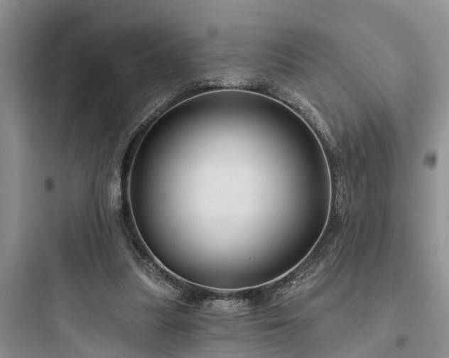 X0000097910251200803211511