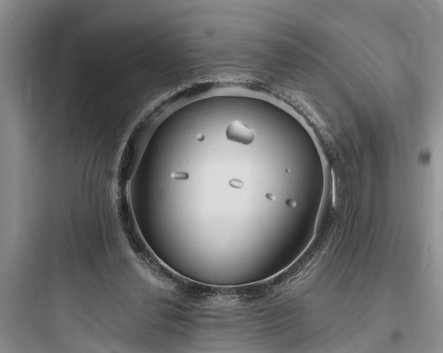 X0000097910252200803211511