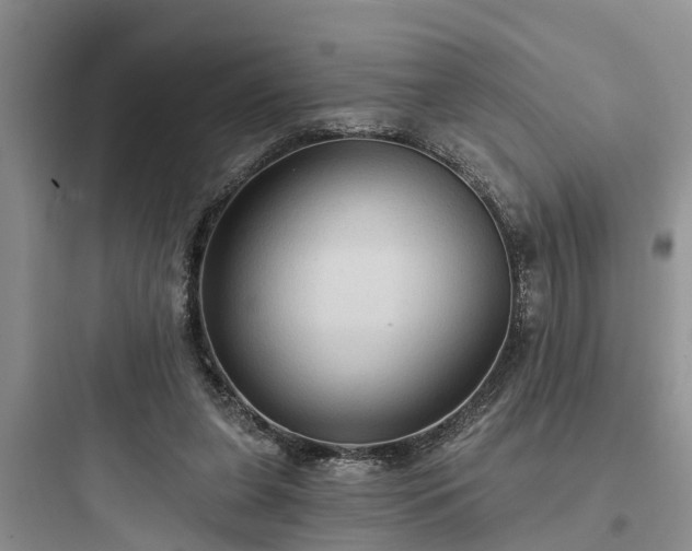 X0000097910255200803211511