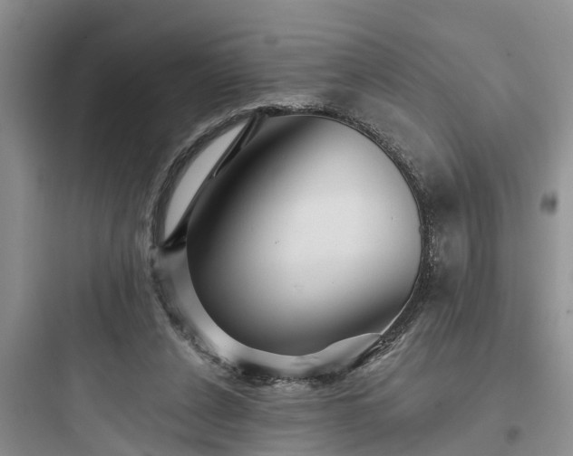 X0000097910256200803211511