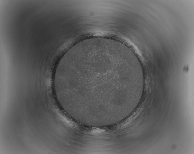 X0000097910257200803211511