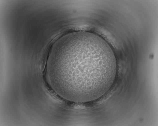 X0000097910258200803211511