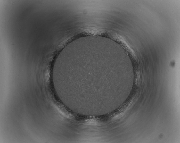 X0000097910259200803211511