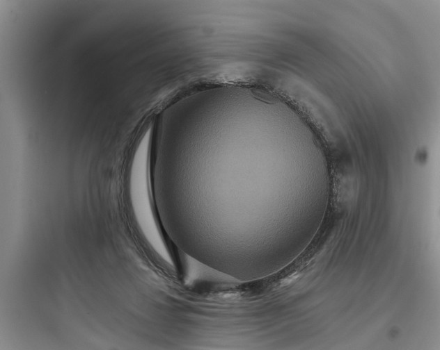 X0000097910260200803211511