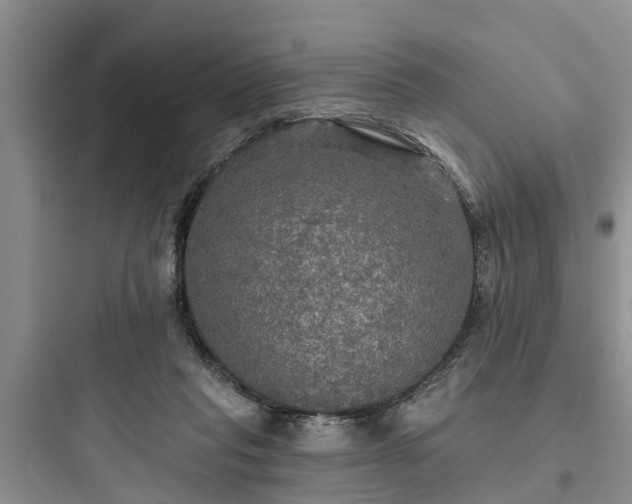 X0000097910261200803211511