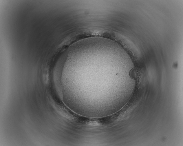 X0000097910262200803211511