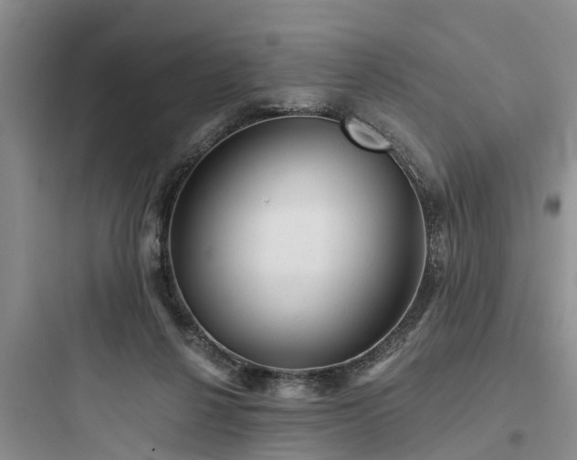 X0000097910264200803211511