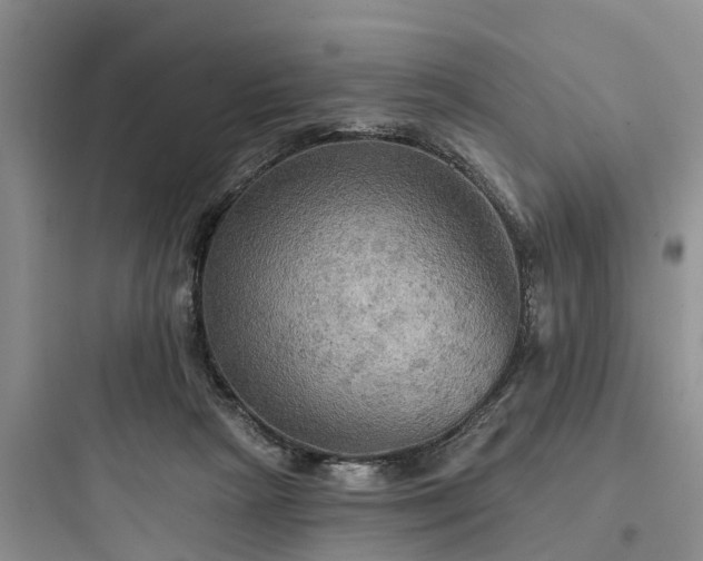 X0000097910265200803211511