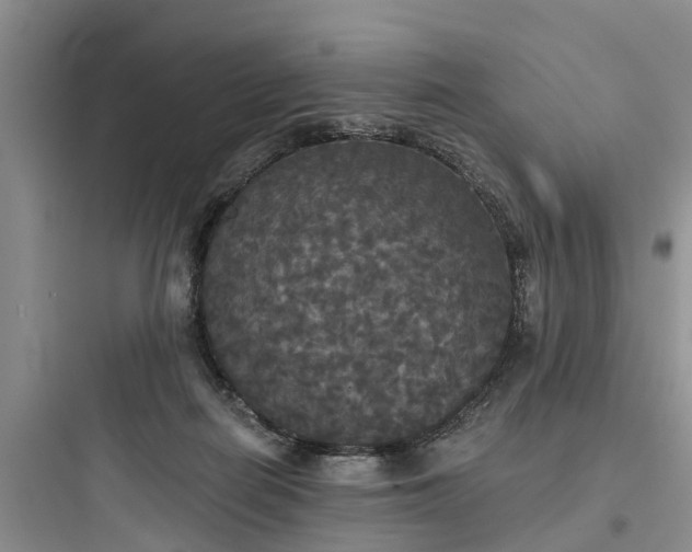 X0000097910266200803211511