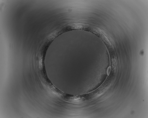 X0000097910267200803211511