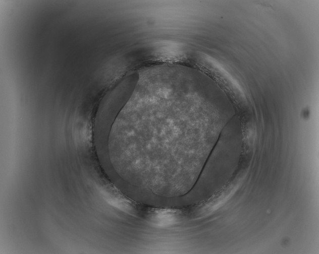 X0000097910268200803211511