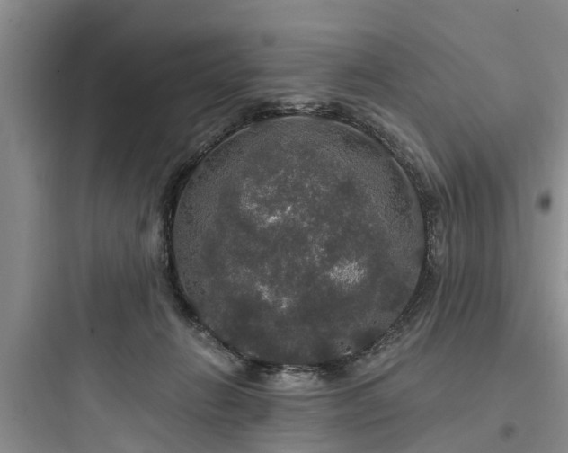 X0000097910270200803211511