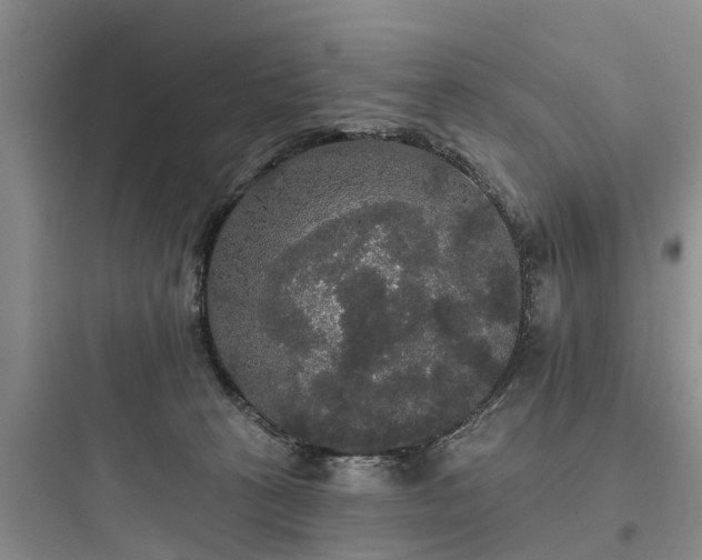 X0000097910273200803211511