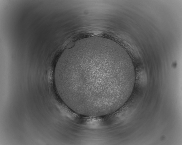 X0000097910274200803211511