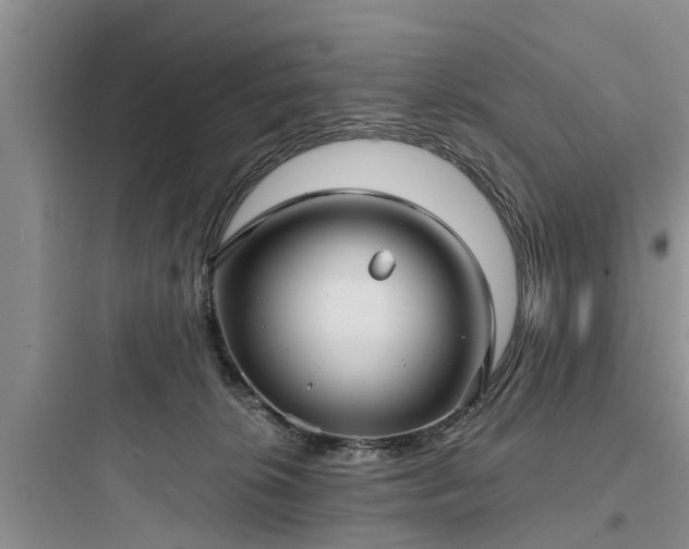 X0000097910276200803211511