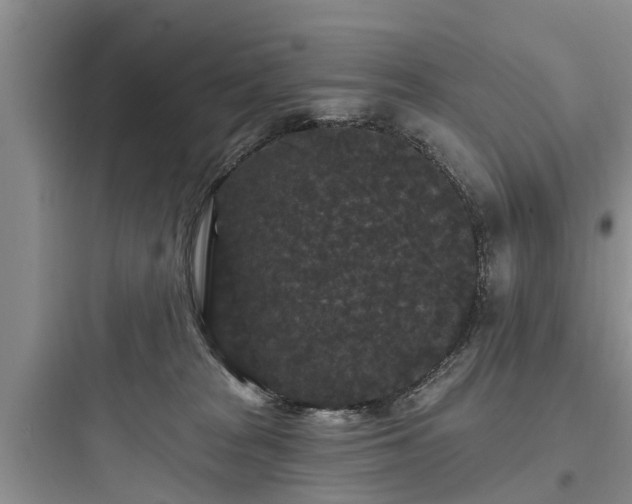 X0000097910277200803211511