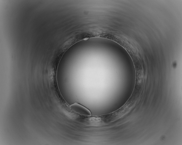 X0000097910279200803211511