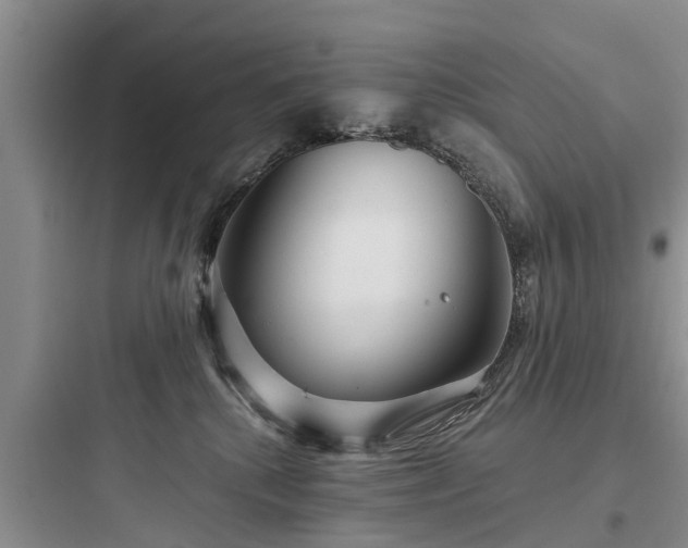 X0000097910280200803211511