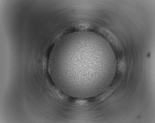 X0000097910283200803211511