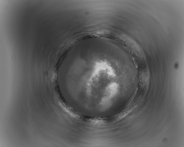 X0000097910284200803211511