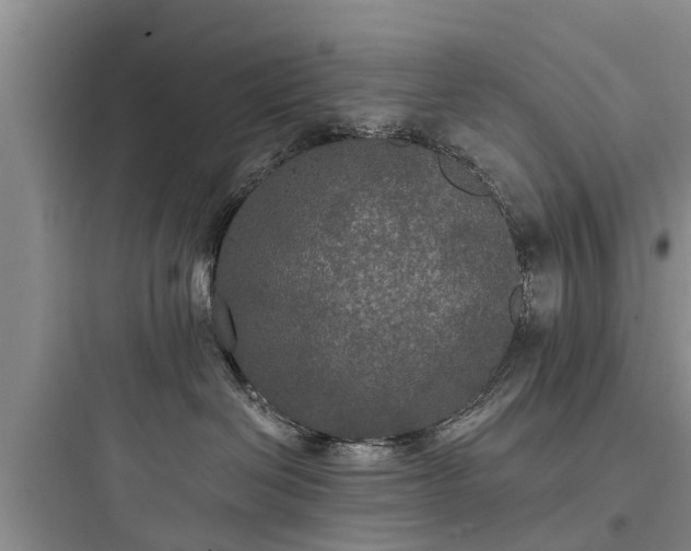 X0000097910286200803211511