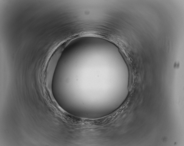 X0000097910289200803211511