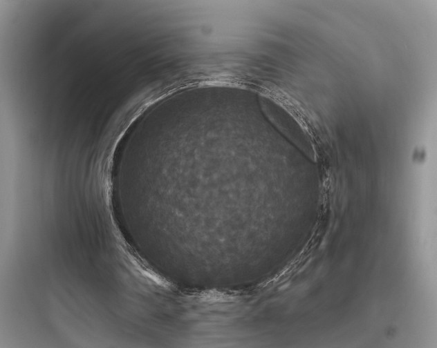 X0000097910290200803211511