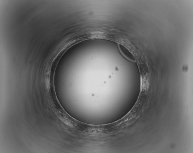 X0000097910291200803211511