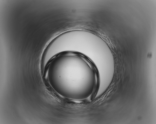 X0000097910292200803211511