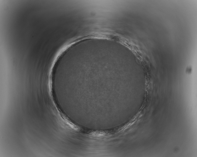 X0000097910294200803211511