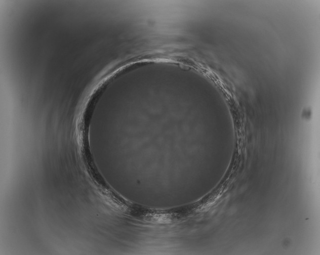 X0000097910295200803211511