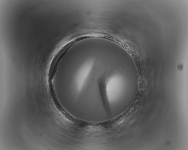 X0000097910296200803211511