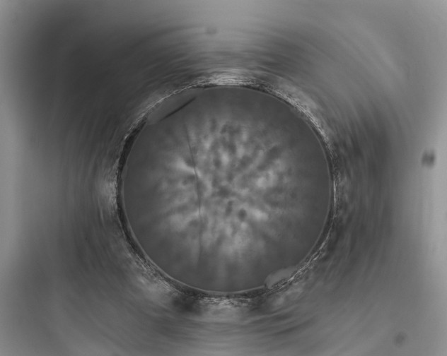 X0000097910297200803211511