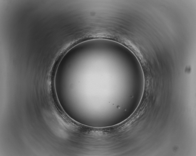 X0000097910298200803211511