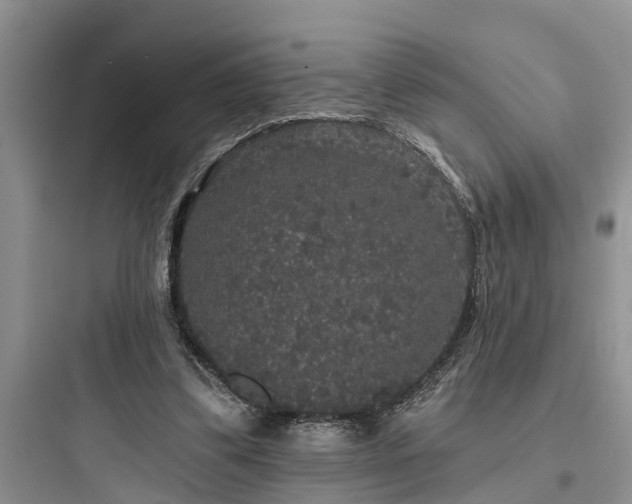 X0000097910299200803211511