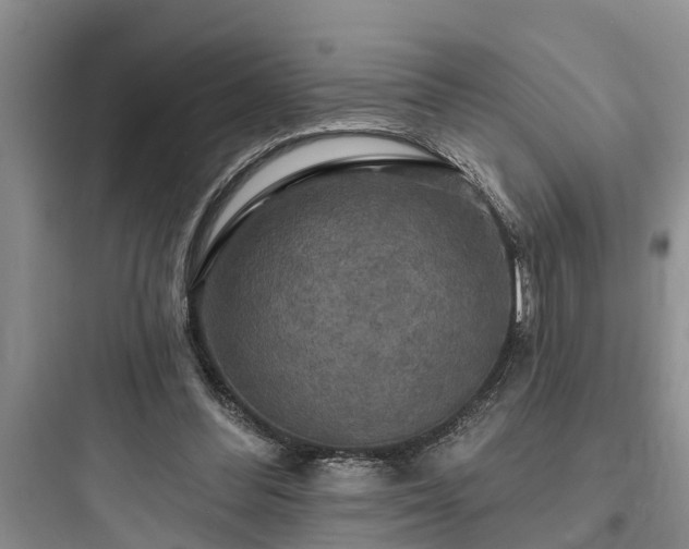 X0000097910300200803211511