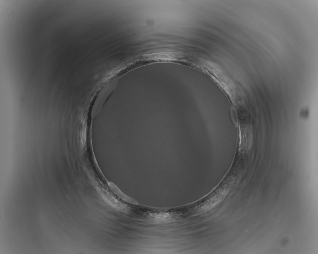 X0000097910301200803211511