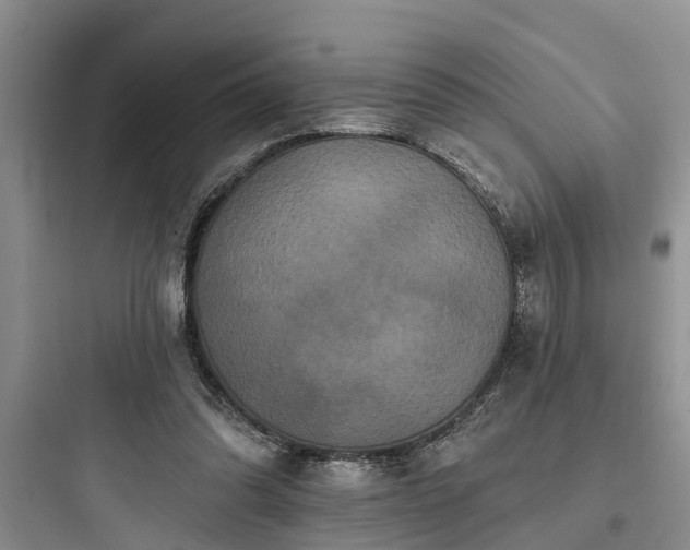 X0000097910302200803211511