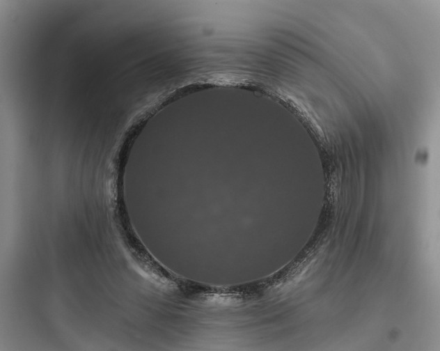 X0000097910303200803211511