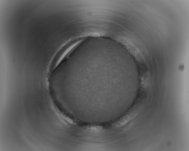 X0000097910304200803211511