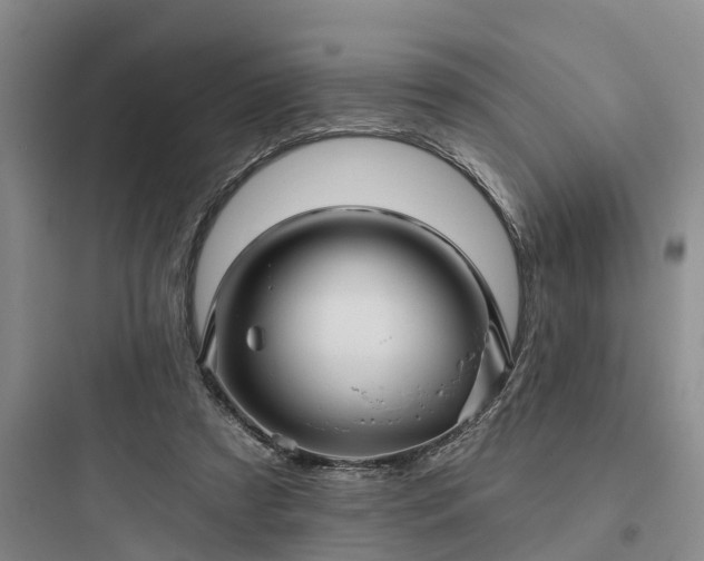 X0000097910305200803211510