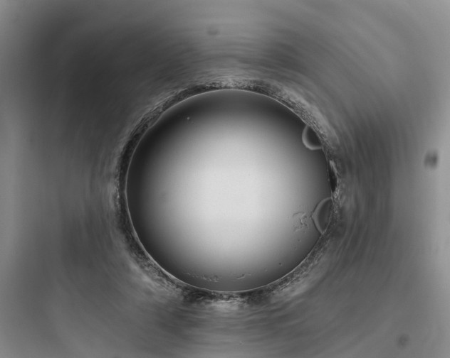 X0000097910306200803211510