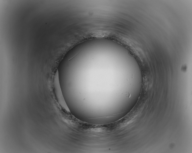 X0000097910307200803211510