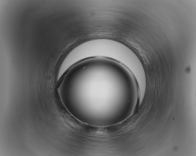 X0000097910308200803211510