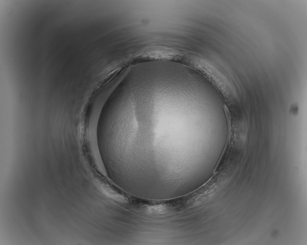 X0000097910309200803211510