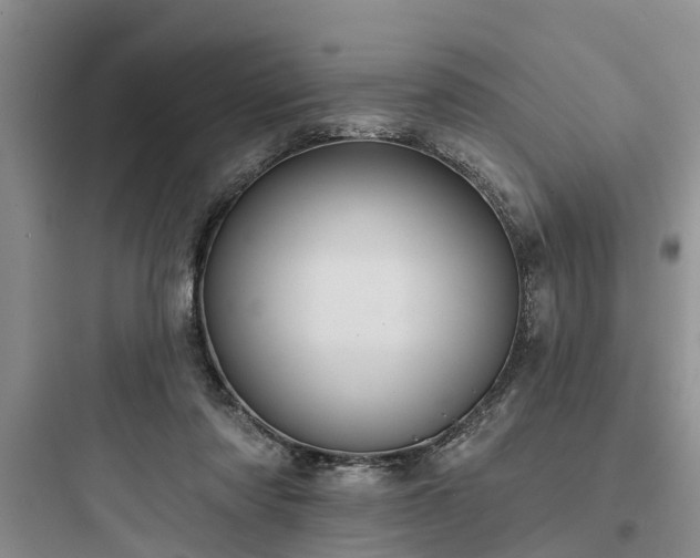 X0000097910310200803211510