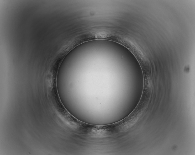 X0000097910311200803211510