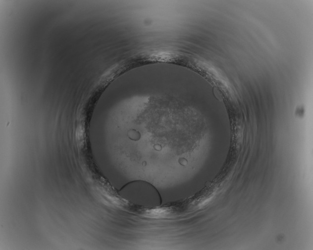 X0000097910312200803211510