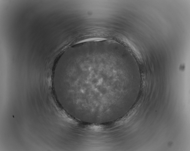 X0000097910313200803211510