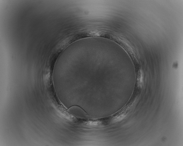 X0000097910314200803211510